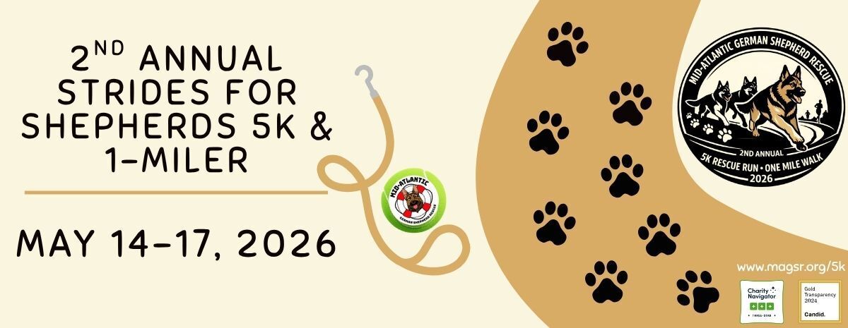 Strides for Shepherds '26